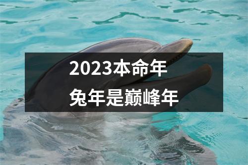 2023本命年兔年是巅峰年