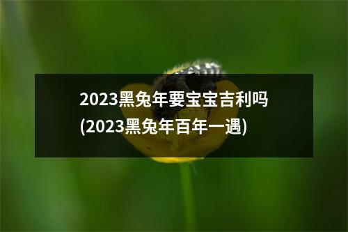 2023黑兔年要宝宝吉利吗(2023黑兔年百年一遇)